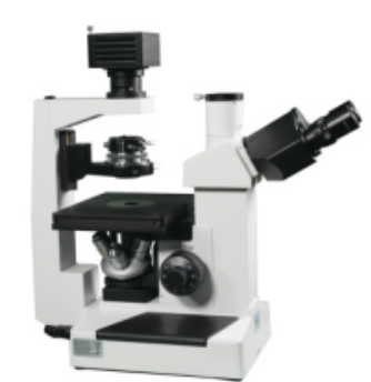 37XC Inverted Biological Microscope