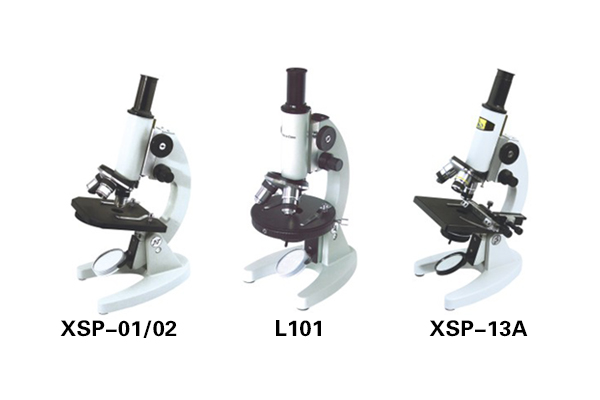 Microscopio para estudiantes L101