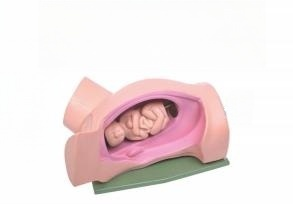 Childbirth Teaching Model BIX-F6