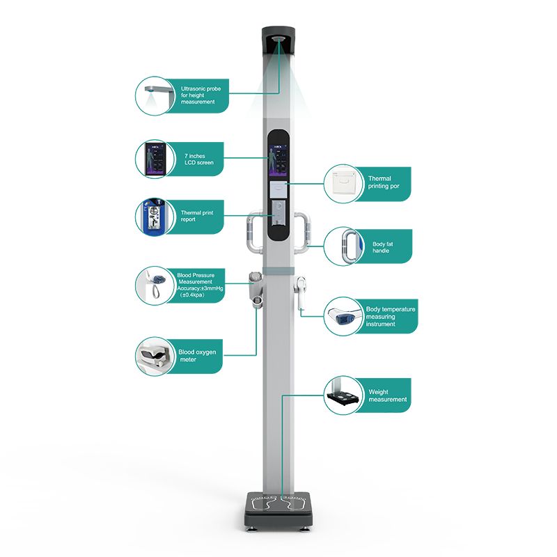 Multifunctional Physical Examination Scale IN-H9-1