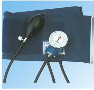 Euro Type Aneroid Sphygmomanometer BK2001