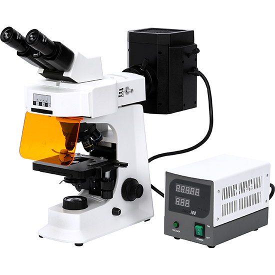 Microscope biologique à fluorescence série XY