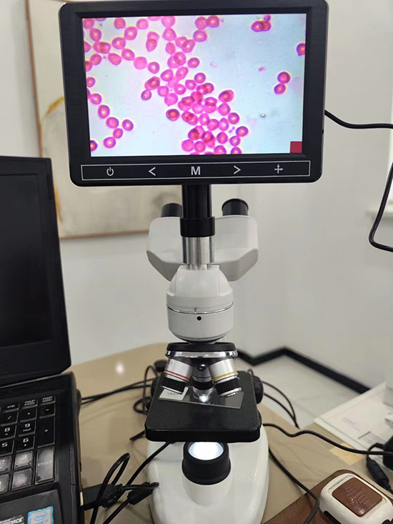 Acheter Microscope avec écran LCD 115RT+7 LCD,Microscope avec écran LCD 115RT+7 LCD Prix,Microscope avec écran LCD 115RT+7 LCD Marques,Microscope avec écran LCD 115RT+7 LCD Fabricant,Microscope avec écran LCD 115RT+7 LCD Quotes,Microscope avec écran LCD 115RT+7 LCD Société,