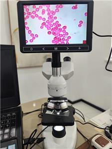 Microscope avec écran LCD 115RT+7 LCD