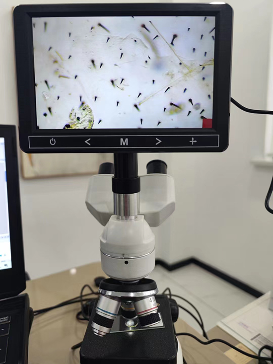 Microscope With LCD Screen 115RT+7 LCD