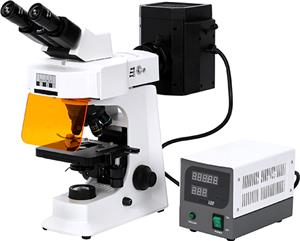 Microscope biologique à fluorescence XY-FL1