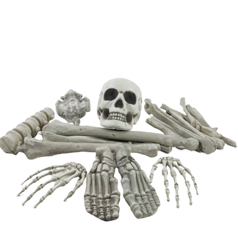 Halloween Bones