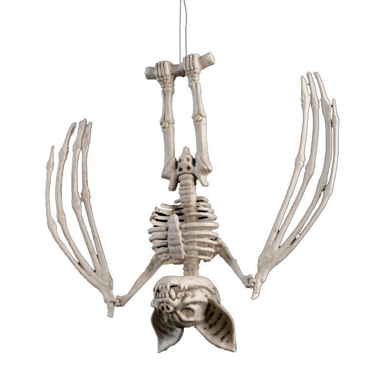 Halloween Animal Skeletons