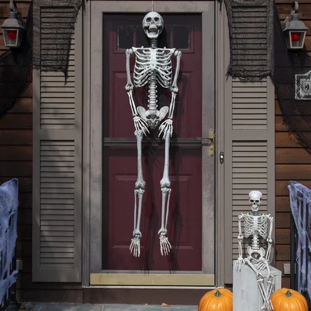 poseable life size skeleton