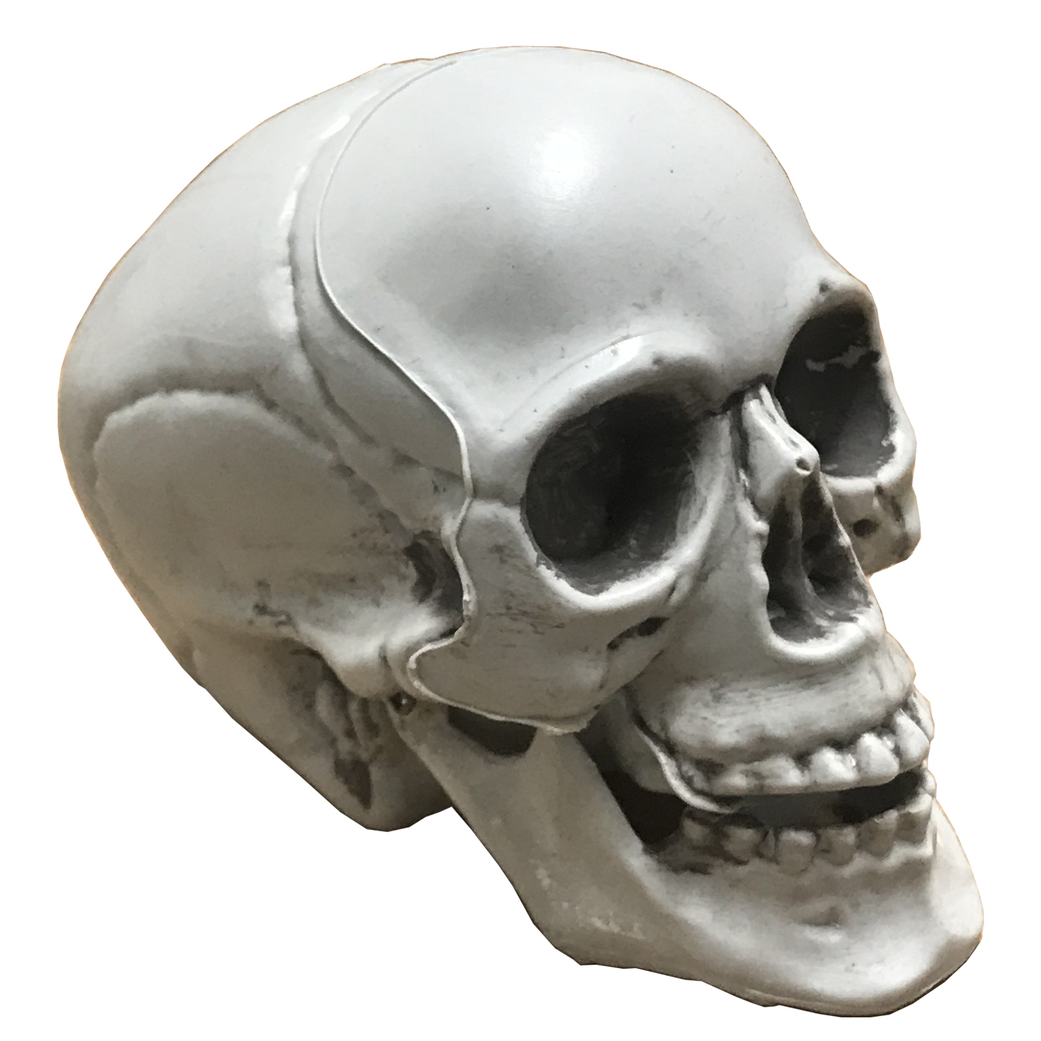 halloween skull decor