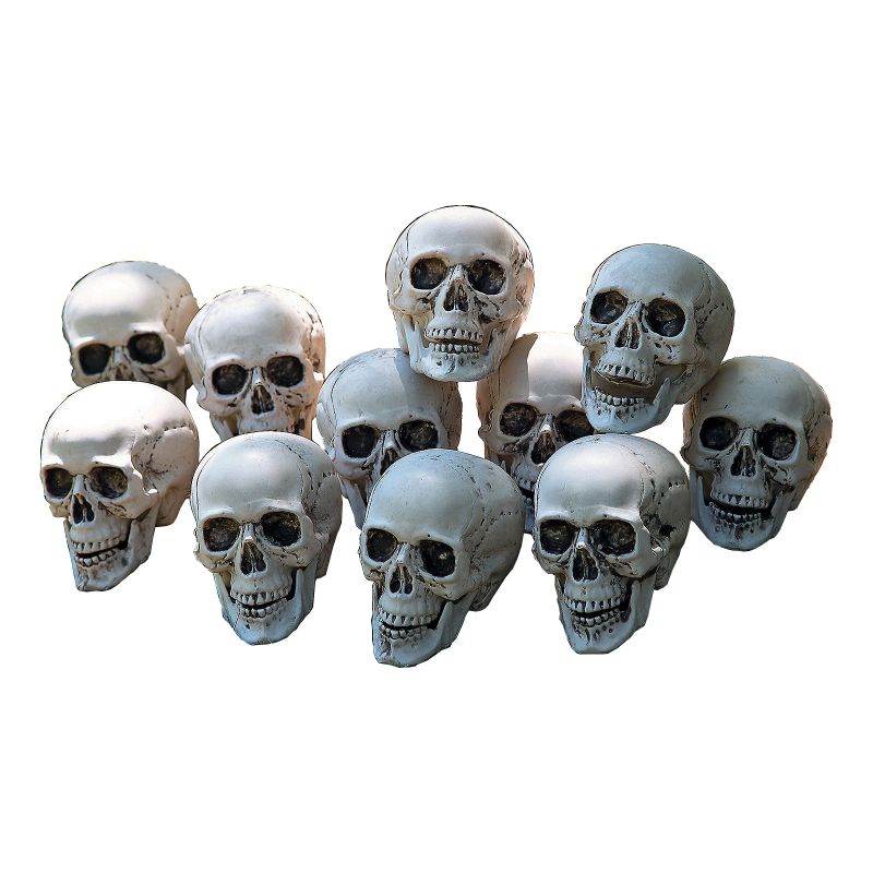 Halloween Skull