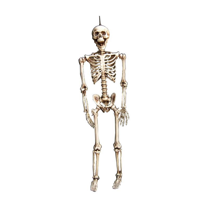 Halloween Lifesize Skeleton