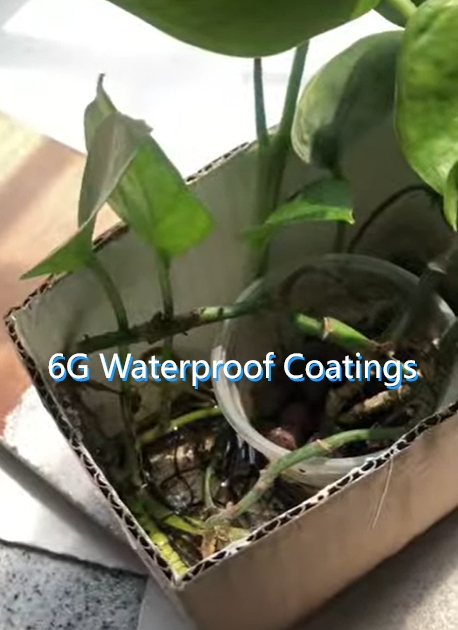 Vissney decorative coatings perform waterproof sealing test of 6G waterproof coatings