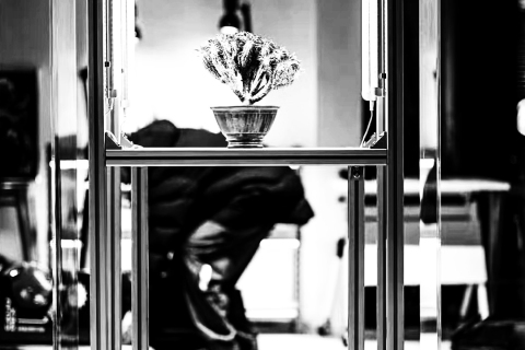 Aluminum, a silent poet of materials