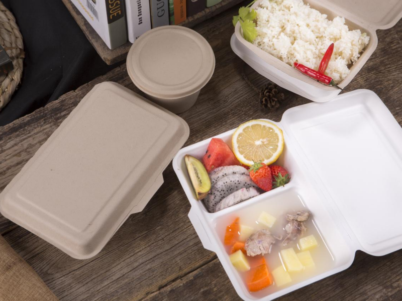 Bagasse Box