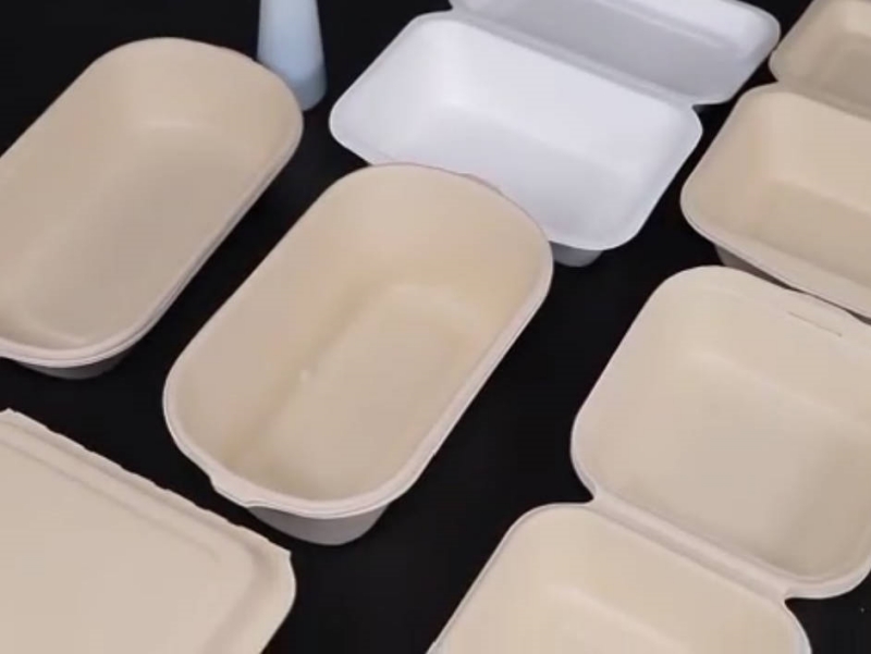 Degradable Lunch Box