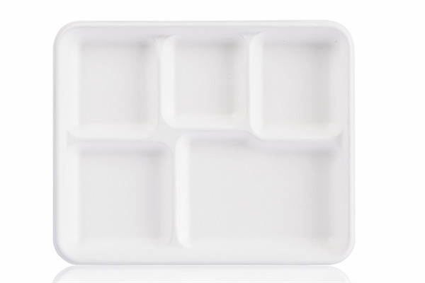 Disposable Food Tray