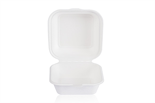 Biodegradable Bento Box