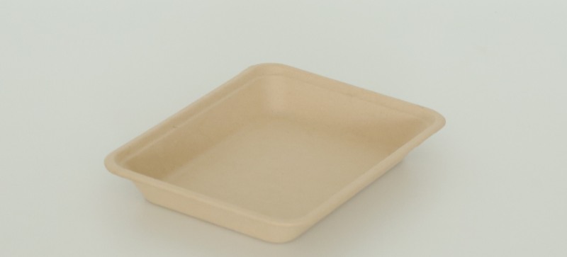 Cane Fiber Tray