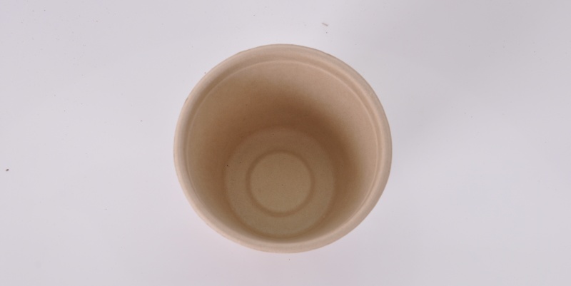 Bagasse Cupcup