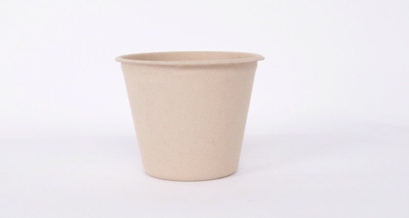 Eco-friendly Coffe Cup