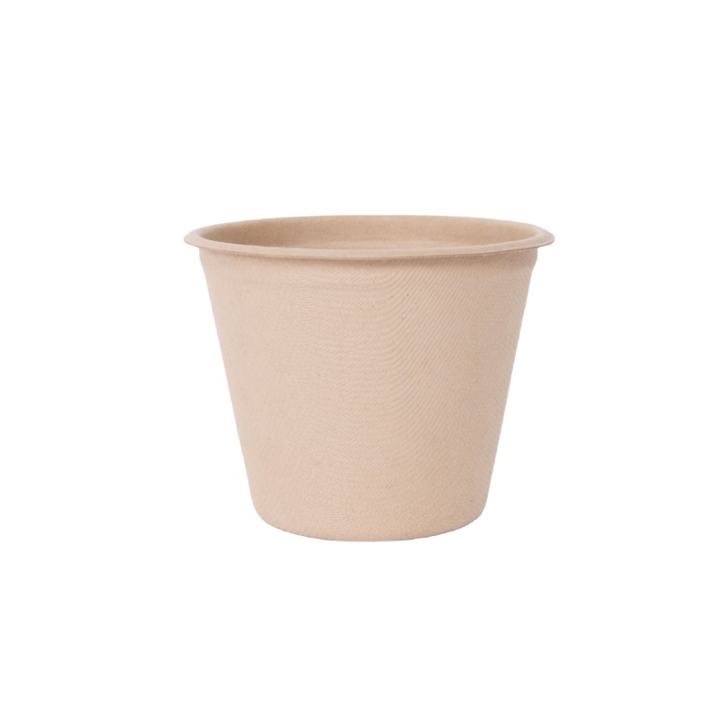 Biodegradable Coffee Cup