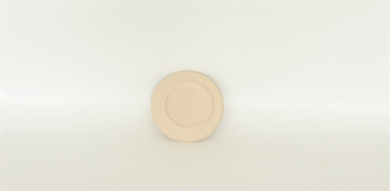 Biodegradable Coffee Lid