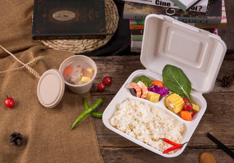 Biodegradable Lunch Box