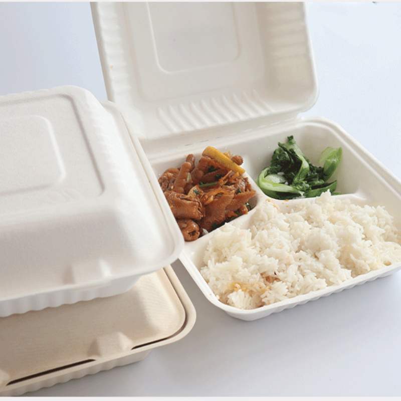 Biodegradable Lunch Box