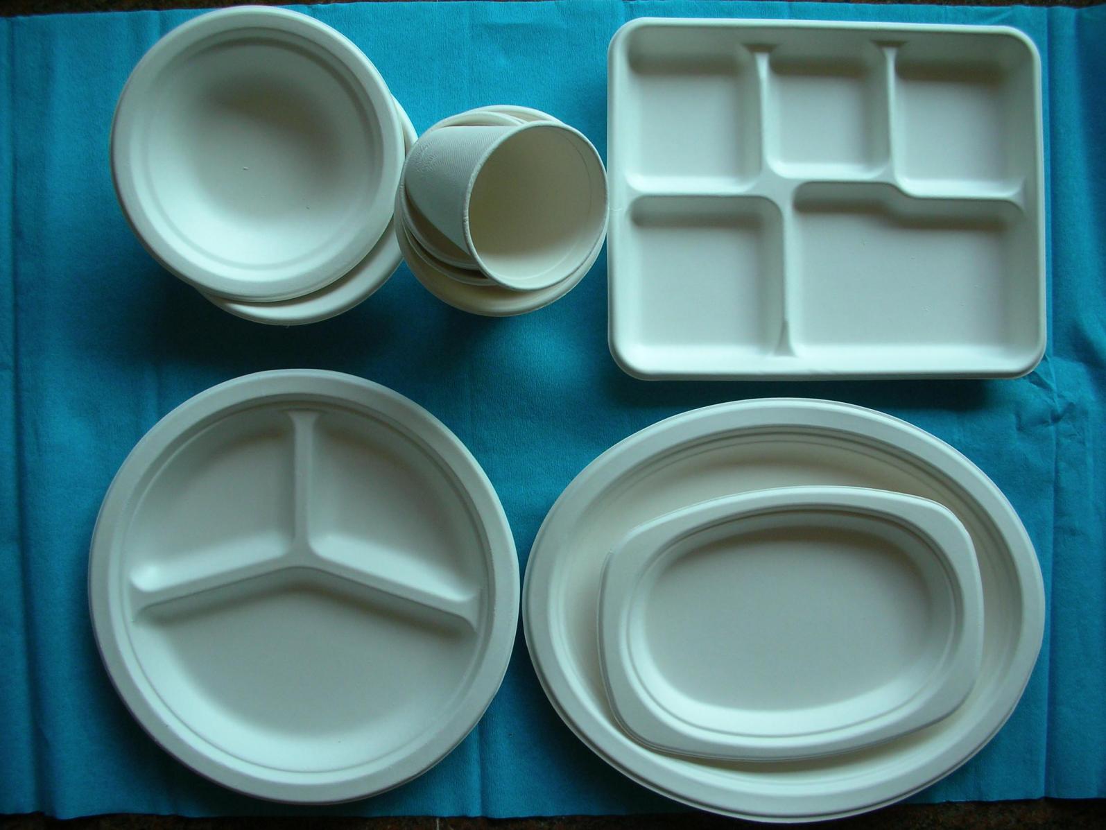 Biodegradabl Tray