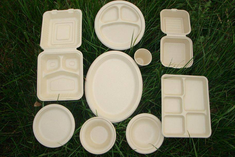 Bagasse Tray