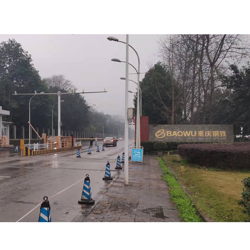 Chongqing Iron and Steel (Group) Co., Ltd.