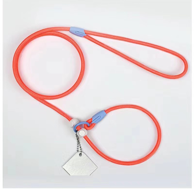 Stylish Leashes Use For Pets Dog