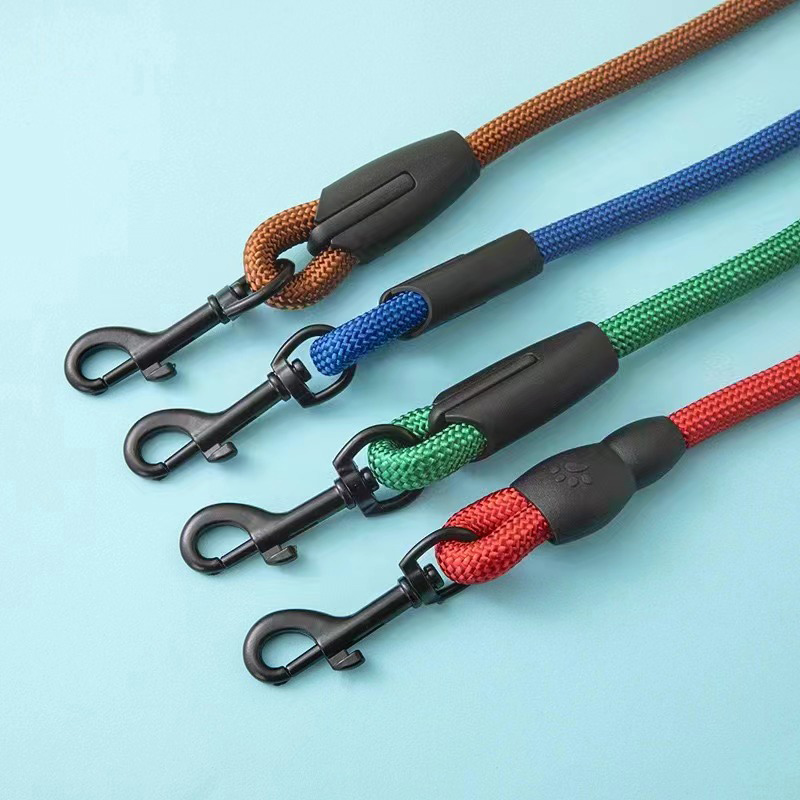 Conheça a coleira do seu animal de estimação