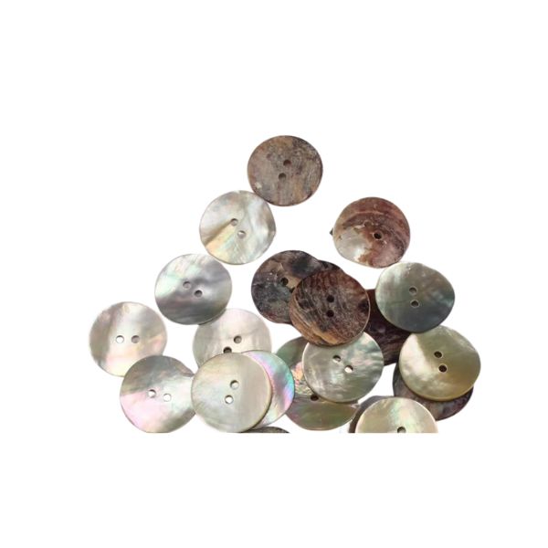 Craft Shell Sewing Buttons