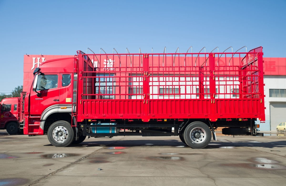 Howo NX Cargo Truck