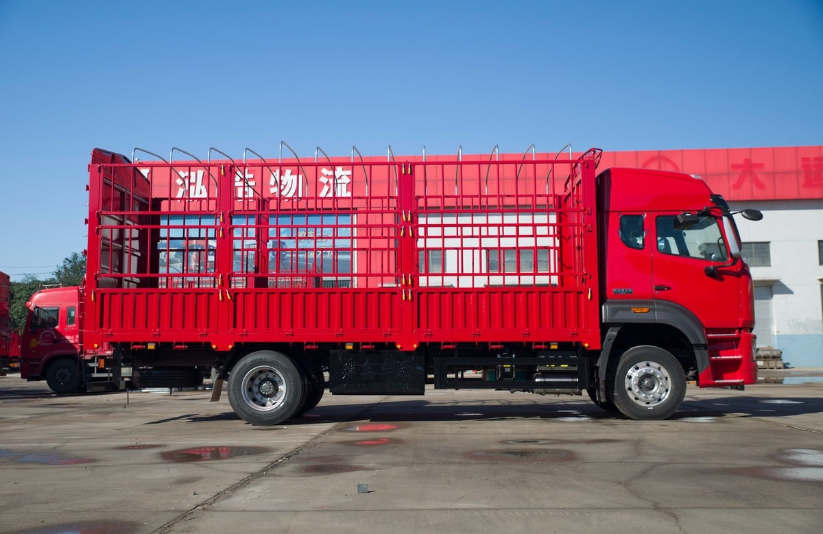Howo 4x2 Cargo Truck
