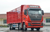 Howo TH7 8x4 460hp Cargo Truck