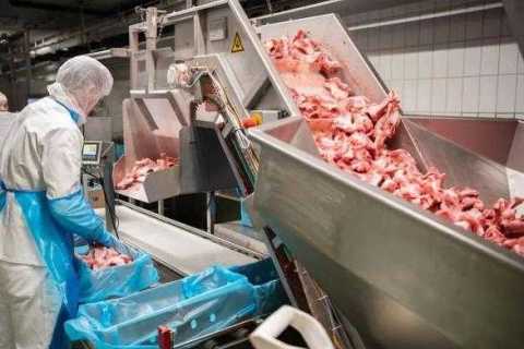China's meat processing machinery technology and equipment increasingly 