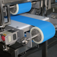 Single Channel Fresh Meat Cutting Slicer