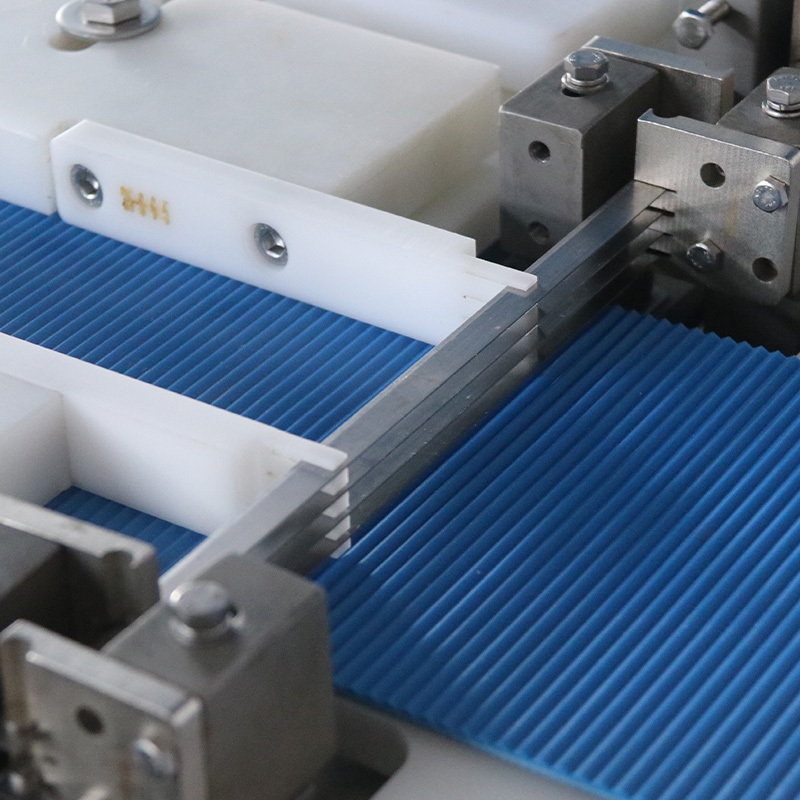 Single Channel Fresh Meat Cutting Slicer