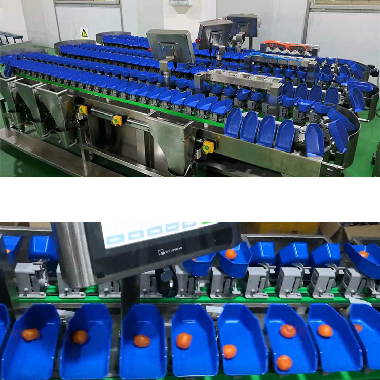 Weighing Grading Machine