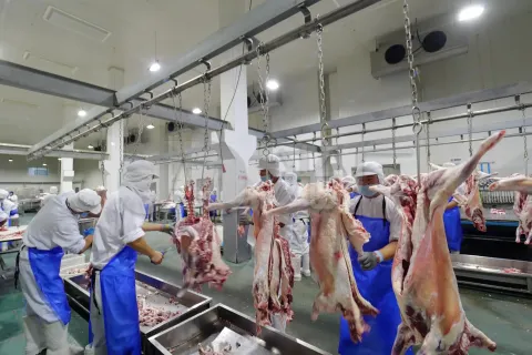 Meat Industry - Size and Share Analysis - Growth Trends and Forecasts (2024 - 2029)