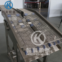 Conversion Mesh Belt Machine
