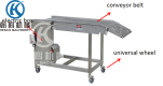 Conveyor Equipment