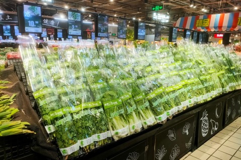 packaging technology for fresh-cut fruits and vegetables in August 2024