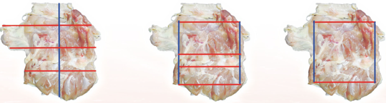 meat cutting machine