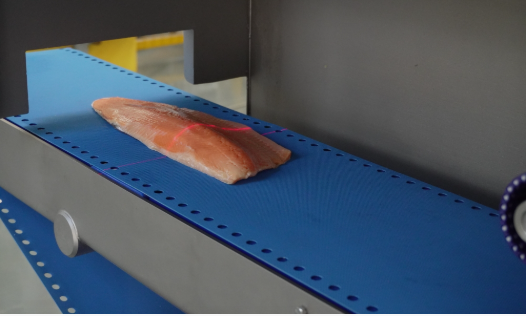 meat cutting machine
