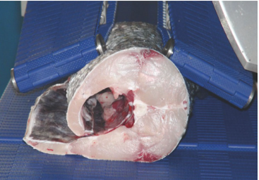 commercial meat cutting machine