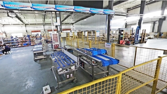 Leading Food Processing Machinery Manufacturer Launches Innovative Meat Equal-Weight Cutting Line